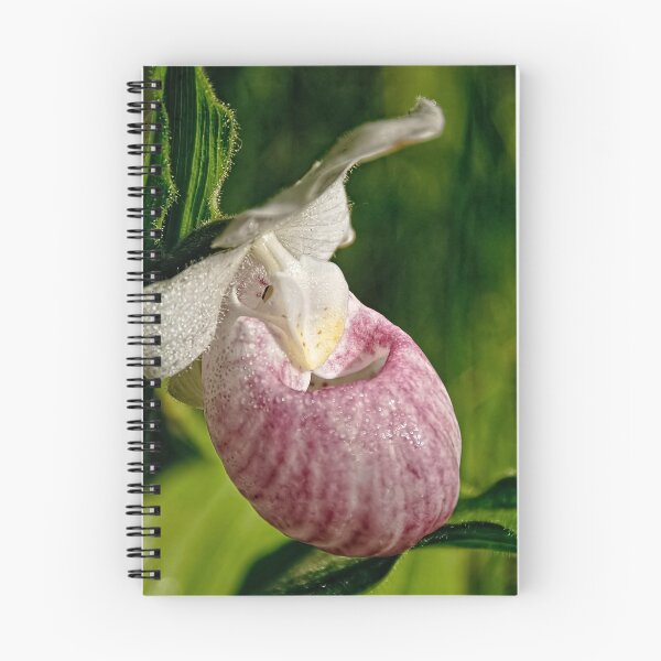 Item preview, Showy Orchid designed and sold by Tracey  Dryka.