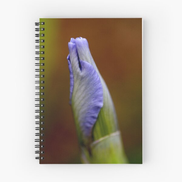 Item preview, Iris - my garden, Ottawa, Ontario designed and sold by Tracey  Dryka.