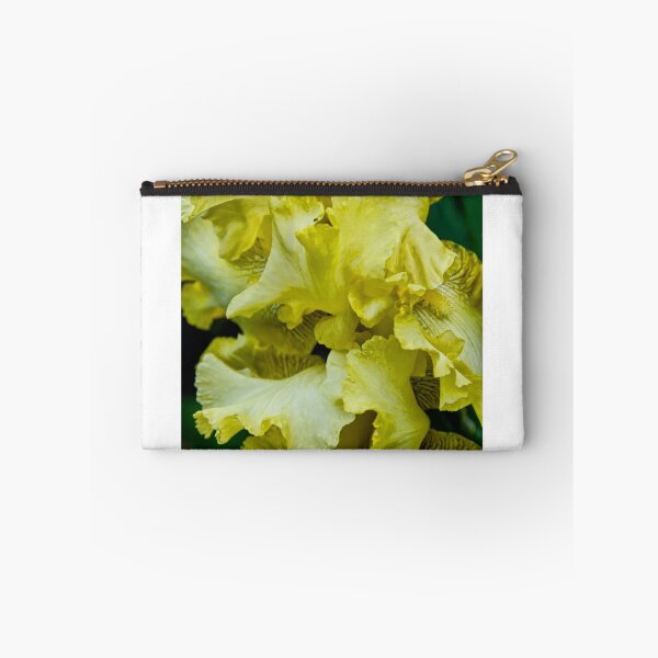 Item preview, Gold Dazzle -  my garden, Ottawa designed and sold by Tracey  Dryka.
