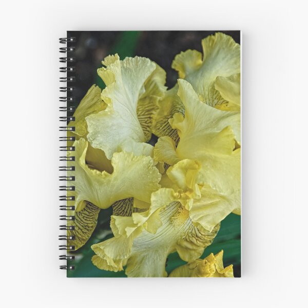 Item preview, Gold Dazzle -  my garden, Ottawa designed and sold by Tracey  Dryka.