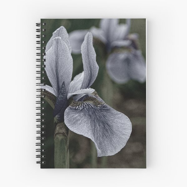 Item preview, Iris designed and sold by Tracey  Dryka.