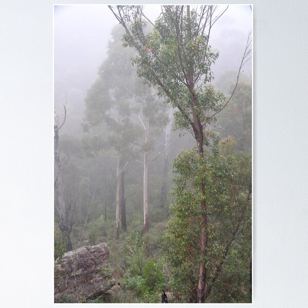 Item preview, Blue Mountains NSW Australia - Foggy Landscape designed and sold by Bev Woodman.