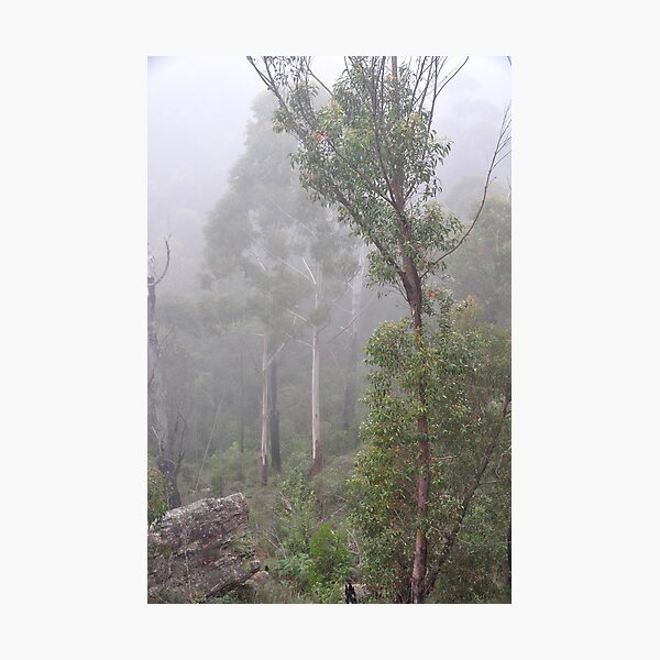 Item preview, Blue Mountains NSW Australia - Foggy Landscape designed and sold by Bev Woodman.