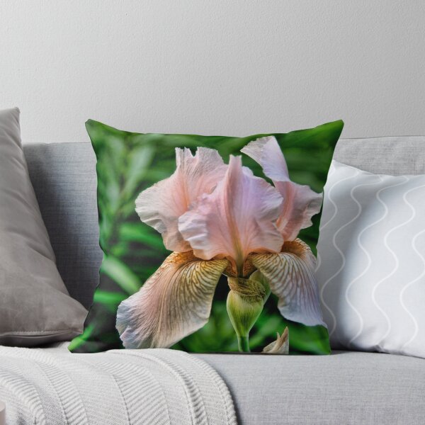 Item preview, Cheesecake - Iris, my garden, Ottawa, Ontario designed and sold by Tracey  Dryka.