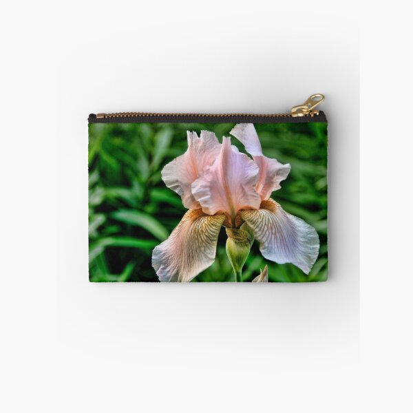 Item preview, Cheesecake - Iris, my garden, Ottawa, Ontario designed and sold by Tracey  Dryka.
