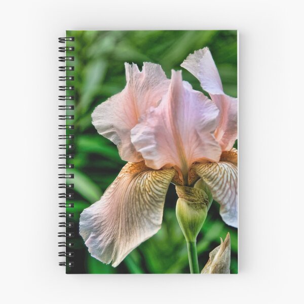 Item preview, Cheesecake - Iris, my garden, Ottawa, Ontario designed and sold by Tracey  Dryka.