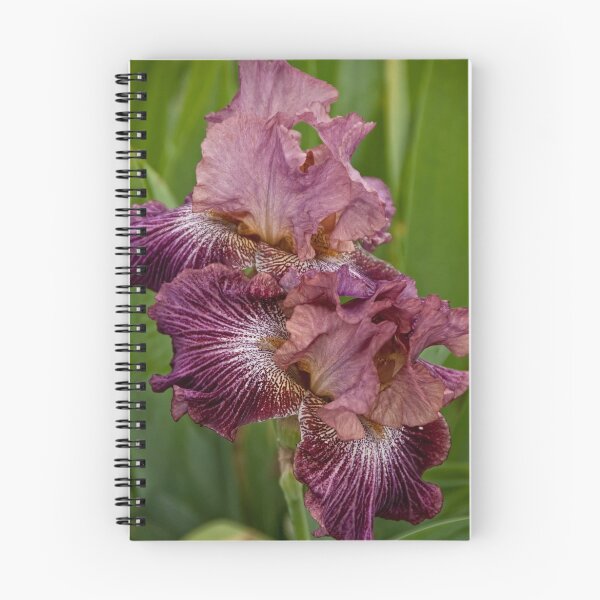 Item preview, Iris  designed and sold by Tracey  Dryka.