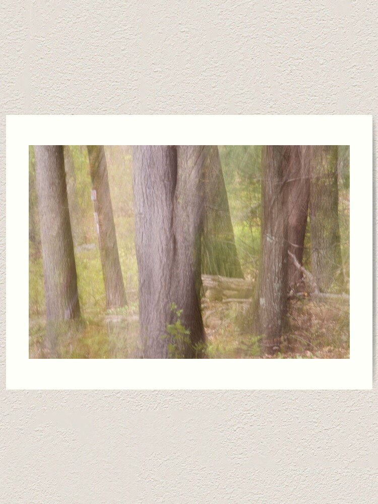 Alternate view of Ghostly Spring Forest Art Print