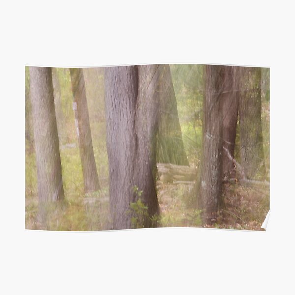 Ghostly Spring Forest Poster