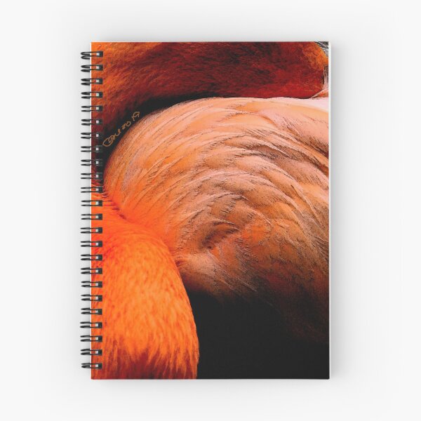 Aperçu de l'œuvre Flamant créée et vendue par cmsart.