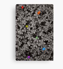 One on ten Canvas Print