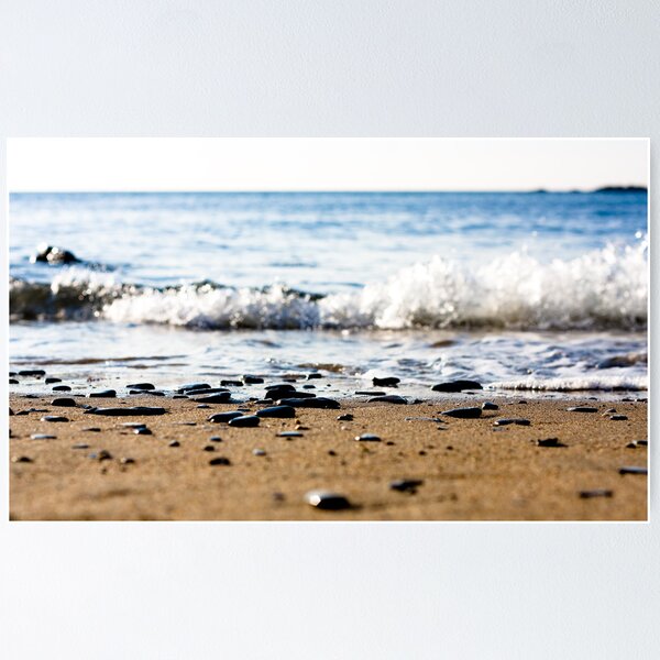 Tide line Crackington Haven Poster