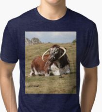 english longhorn Tri-blend T-Shirt