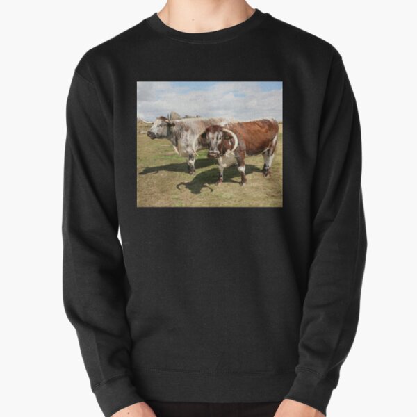 english longhorn cattle Pullover Sweatshirt