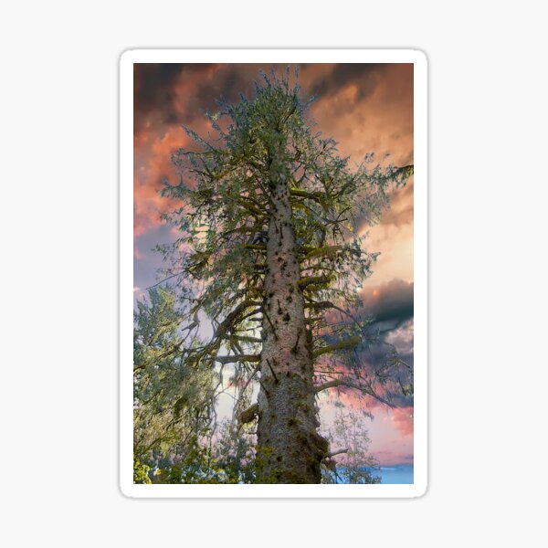Item preview, Tree As Lovely As a Poem ! designed and sold by Nancy Richard.