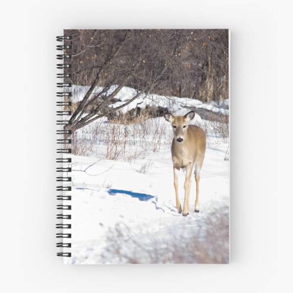 Item preview, White Tailed Deer. designed and sold by CanadianWild418.