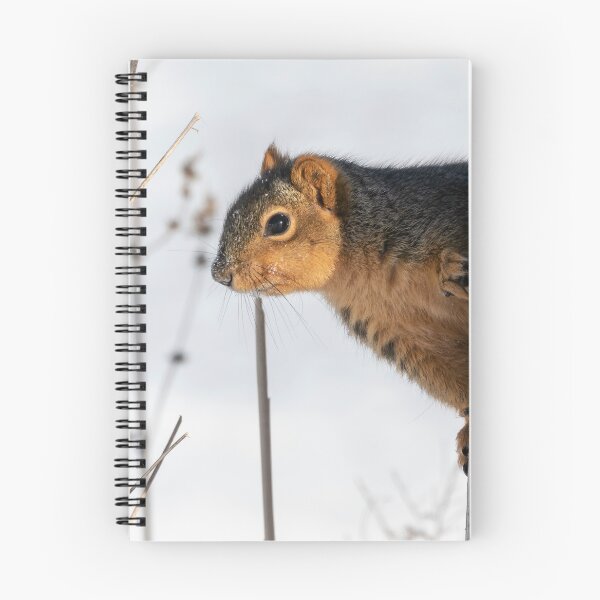 Item preview, Fox Squirrel 2019 designed and sold by Thomasyoung.