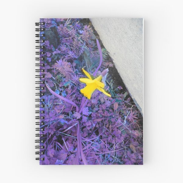 Item preview, daffodil, purple grass 03/09/19 designed and sold by Shellaqua.