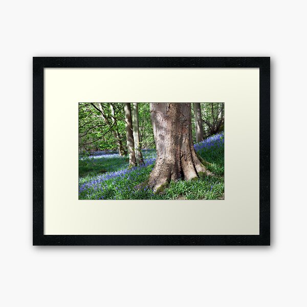 Item preview, Bluebell Carpet designed and sold by SteveMG.