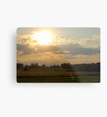 Amber Waves Metal Print