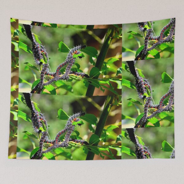 Item preview, Worms in a Tree designed and sold by Totallyalive.