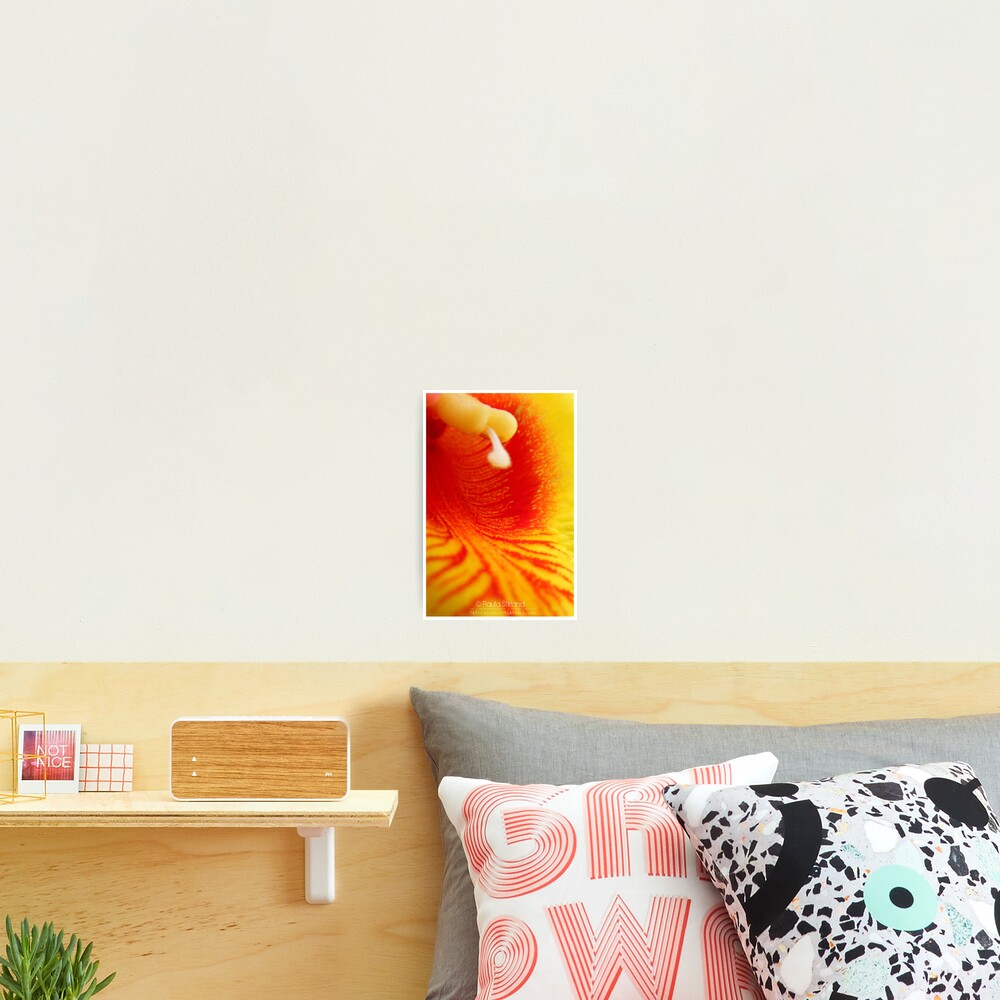 Item preview, Photographic Print designed and sold by Gozza.