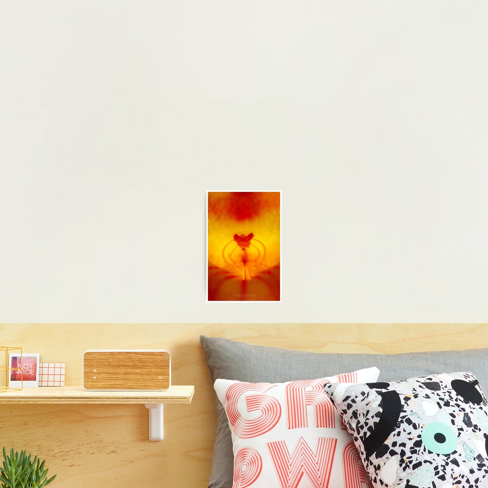 Item preview, Photographic Print designed and sold by Gozza.