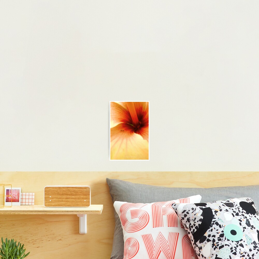 Item preview, Photographic Print designed and sold by Gozza.