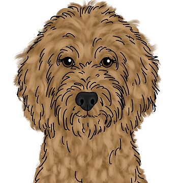 Artwork thumbnail, Goldendoodle by ktscanvases