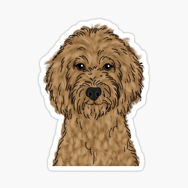 Labradoodle Stickers | Redbubble