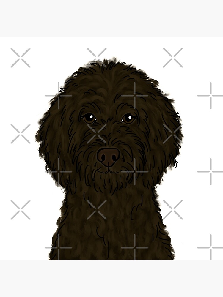 Chocolate Brown Goldendoodle by ktscanvases