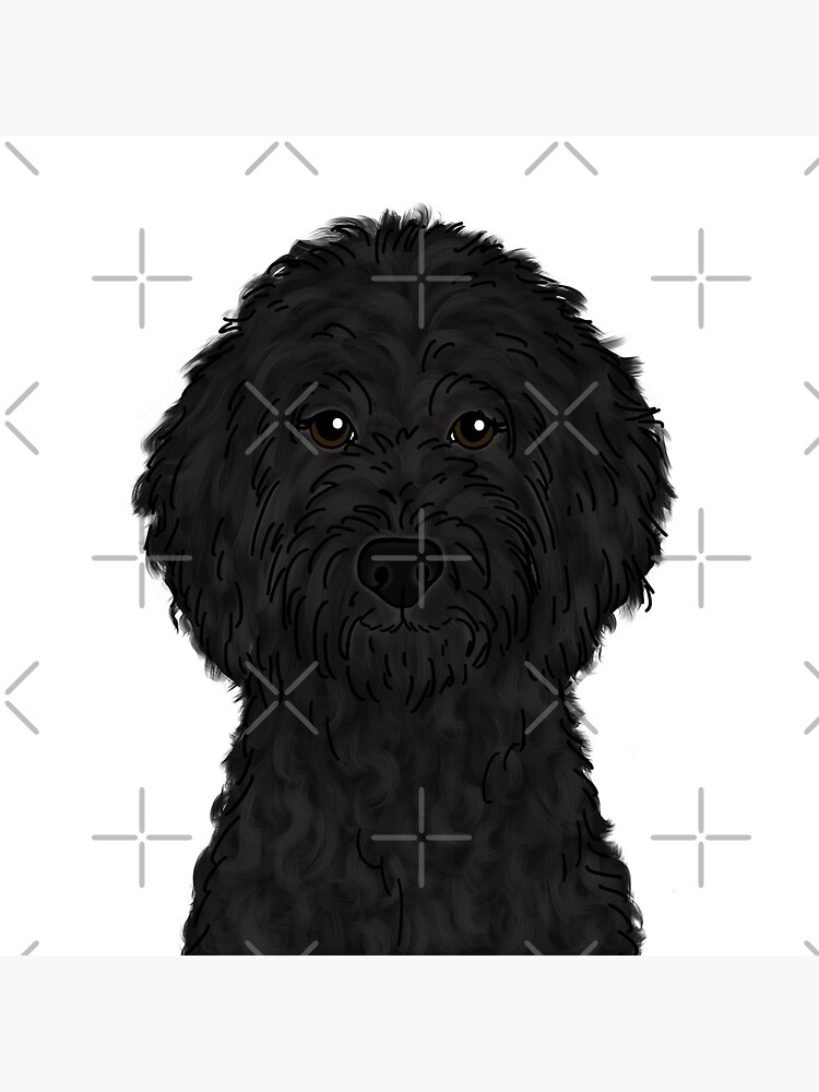 "Black Goldendoodle " Throw Pillow by ktscanvases Redbubble