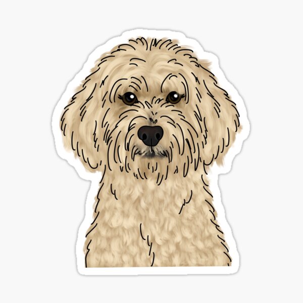 Item preview, Blonde Goldendoodle  designed and sold by ktscanvases.