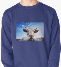 Schnaubender Stier Sweatshirt
