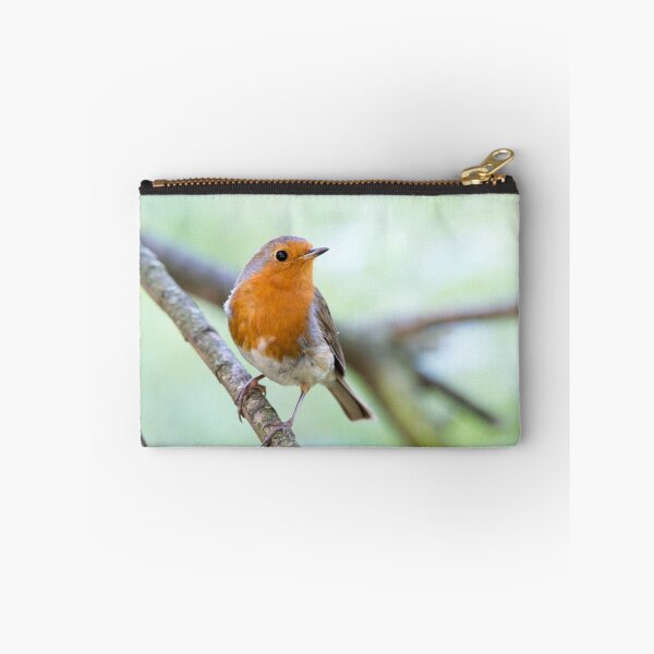 Item preview, Robin designed and sold by Ellesscee.