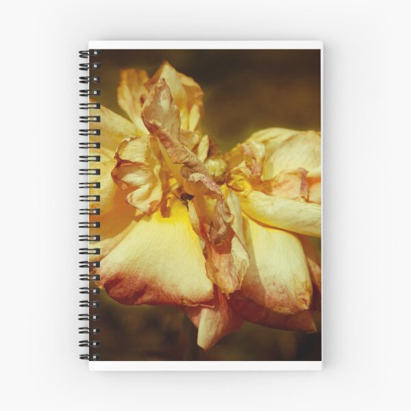 Item preview, Rose fanée designed and sold by Marie Boucher.