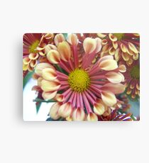 two tone Metal Print