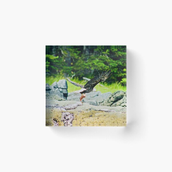 Item preview, Eagle Flying With Caught Fish  designed and sold by Derek Lowe.
