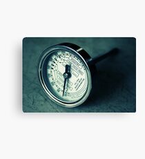 Meat Thermometer Canvas Print