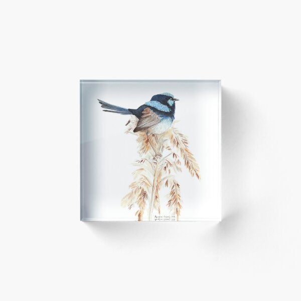 Artikelvorschau, Superb Blue Wren entworfen und verkauft von Meaghan Roberts.