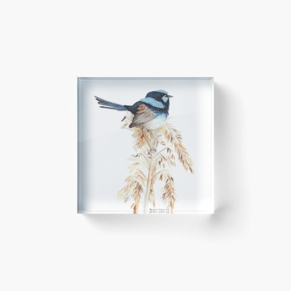 Item preview, Superb Blue Wren designed and sold by Meaghan Roberts.