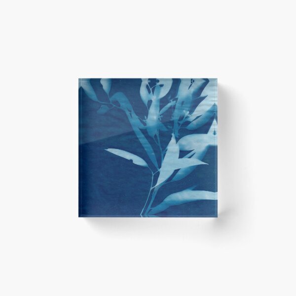 Item preview, Cyanotype Eucalyptus designed and sold by Meaghan Roberts.