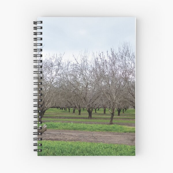 Item preview, Orchard designed and sold by Jorden Estes.