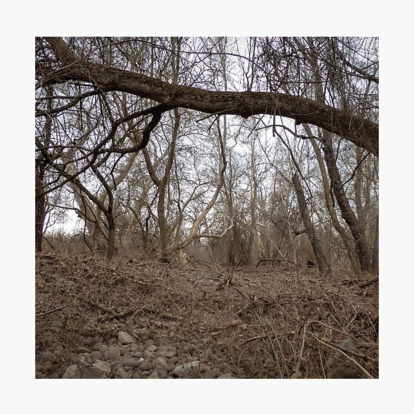 Item preview, Woods designed and sold by Jorden Estes.