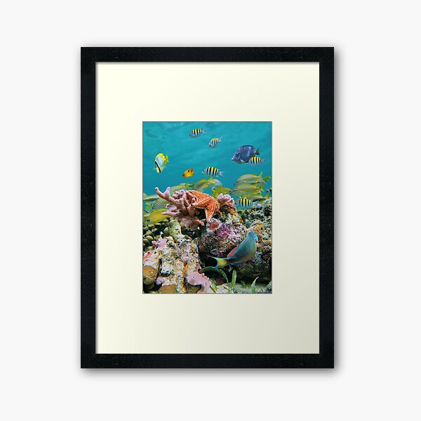 Artikel-Vorschau von Unterwasserfarben des Meeres, designt und verkauft von Seaphotoart.