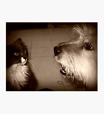 Conversations Photographic Print
