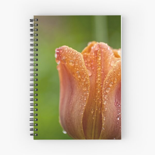 Item preview, Tulip2 (macro) - Ottawa, ON designed and sold by Tracey  Dryka.