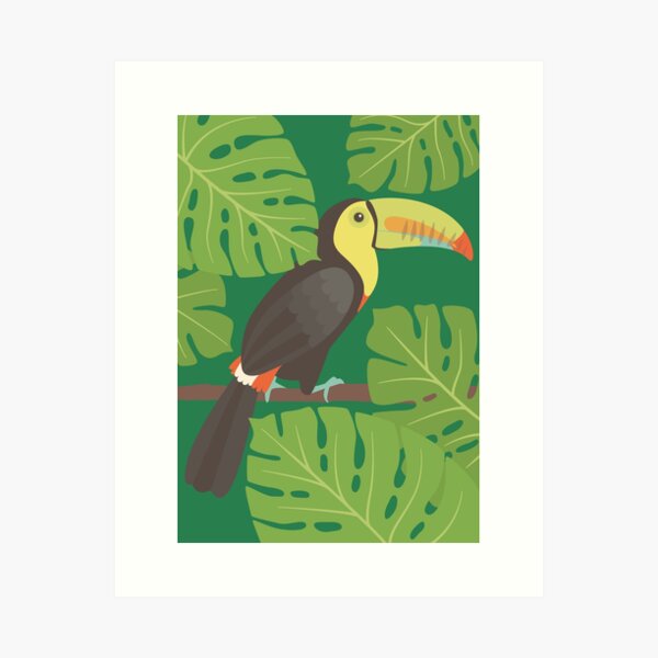 Toucan Art Print