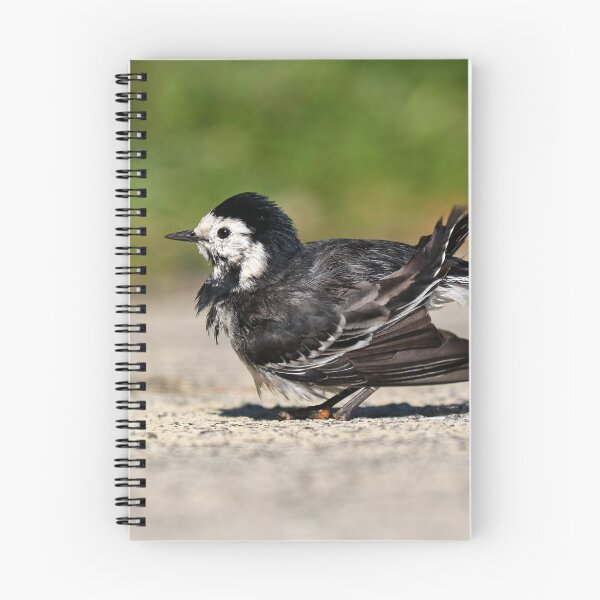 Item preview, Wagtail designed and sold by GreyFeatherPhot.