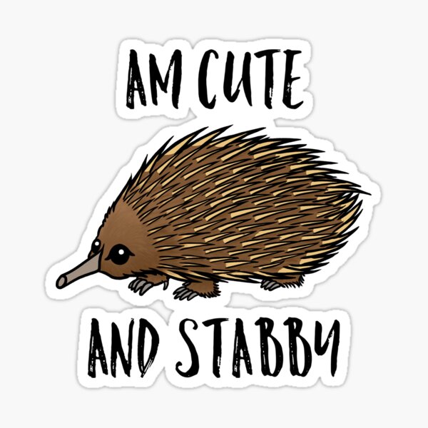 Cute and Stabby Echidna Sticker